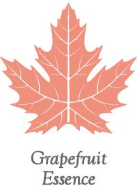 Grapefruit Essence