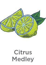Citrus Medley