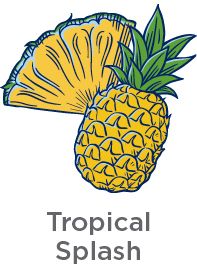 Tropical Splash