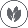 Stevia Leaf Extract