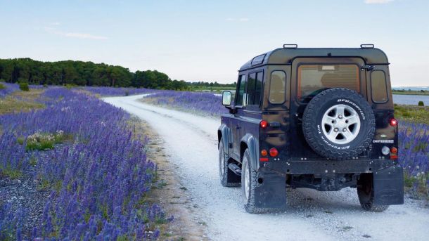 Best Canadian Road Trips for Stopping and Smelling the Flowers