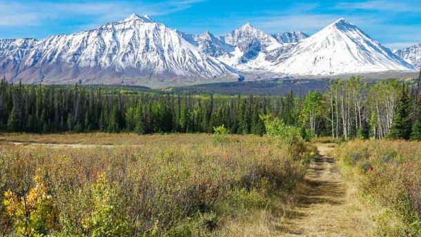 Auriol Trail Hike in Kluane National Park