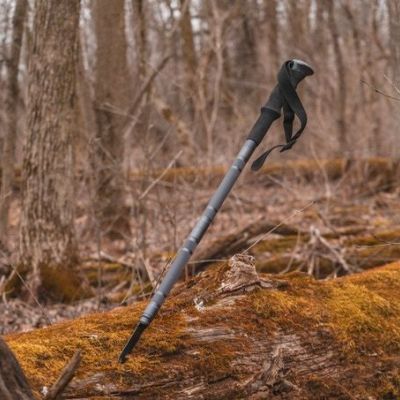 Multi Use Trekking Pole Stuck in a Fallen Tree