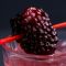 Clearly Canadian Blackberry Buzz